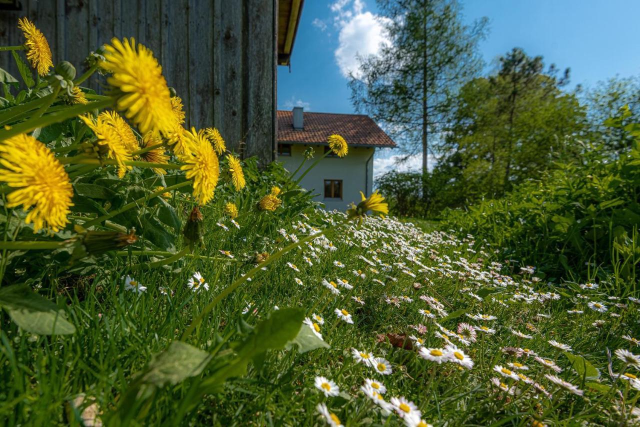 Ferienhaus Schlierachtal มีสบาค ภายนอก รูปภาพ